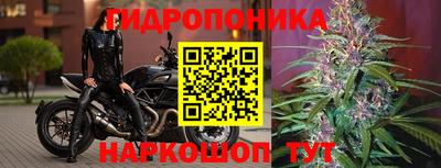 каннабис Нарткала