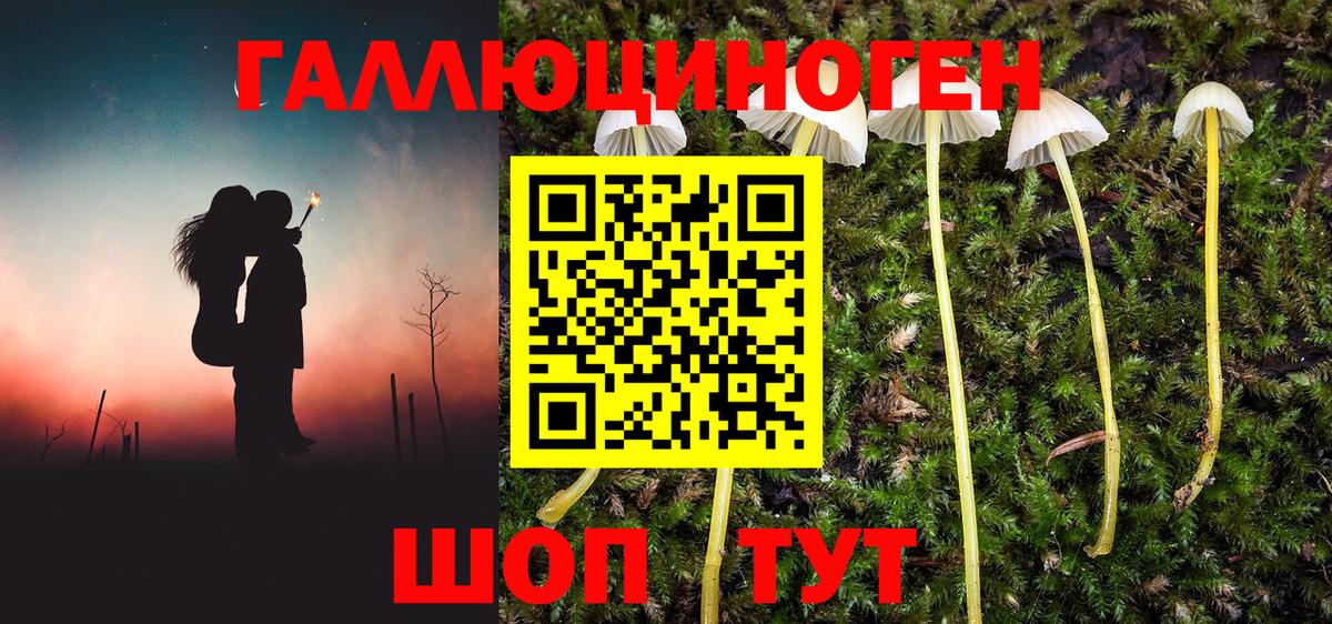 Псилоцибиновые грибы ЛСД Урай