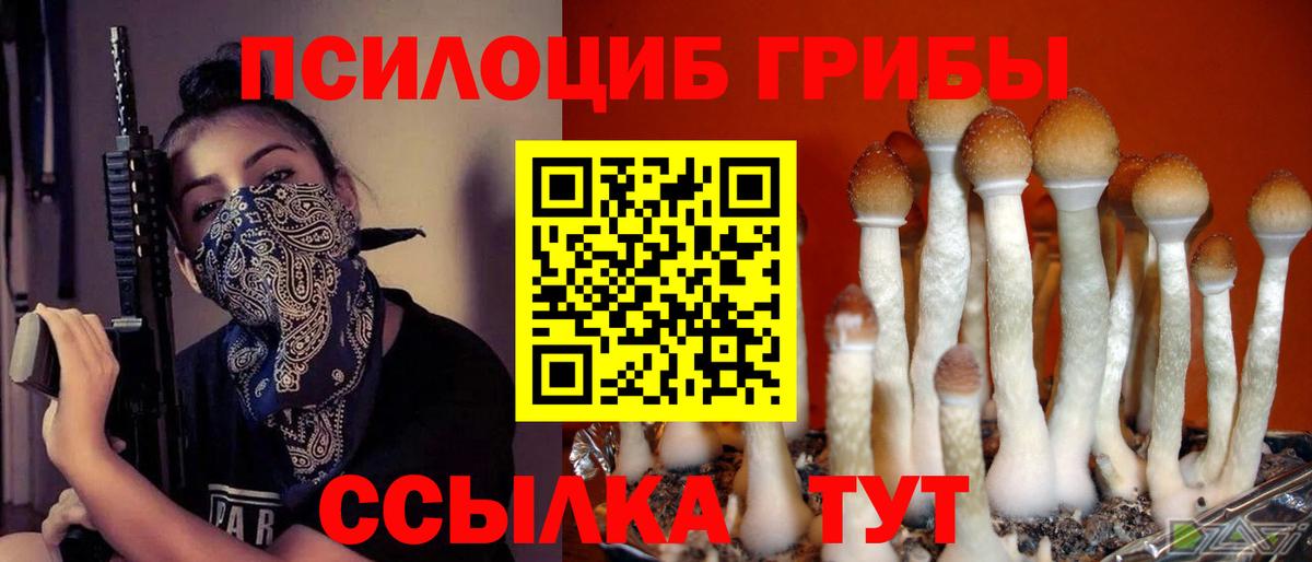Урай  Псилоцибиновые грибы мицелий  Псилоцибиновые грибы прущие грибы  Вход с VPN 
